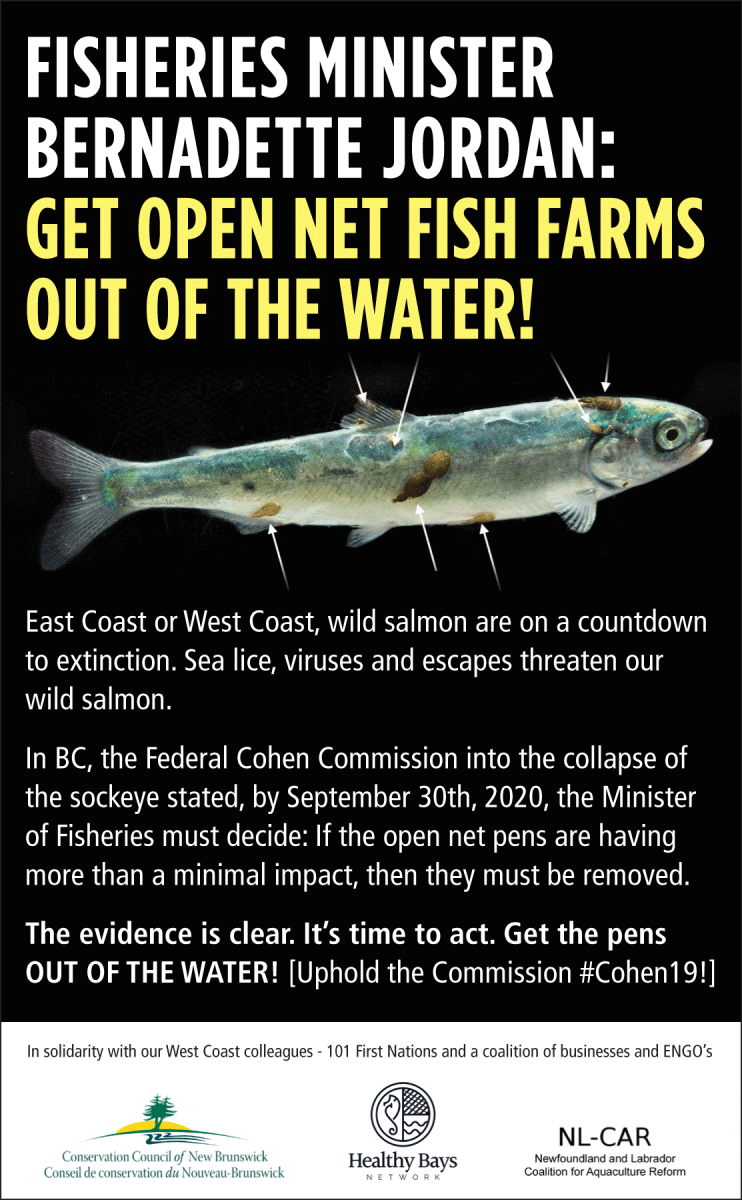 GET OPEN NET FISH FARMS OUT OF THE WATER!