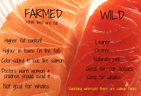 Guide to Safe Salmon
