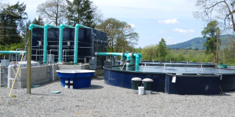 Report on Closed Containment Aquaculture