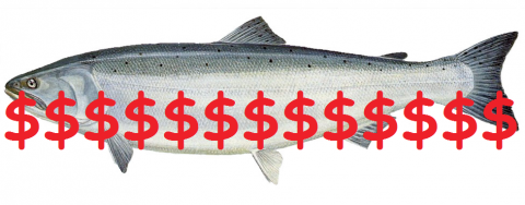 Fish farm culls cost public $138m