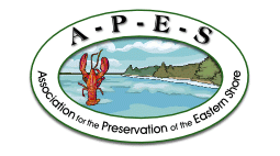 APES Press Release: October 29 2015